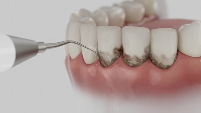 Reliable Dental contractor in Standish, MI by Dentist Open Now
